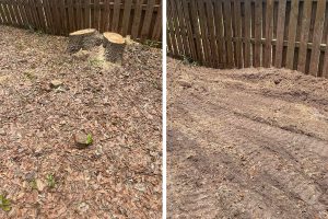 Stump Grinding Before & After